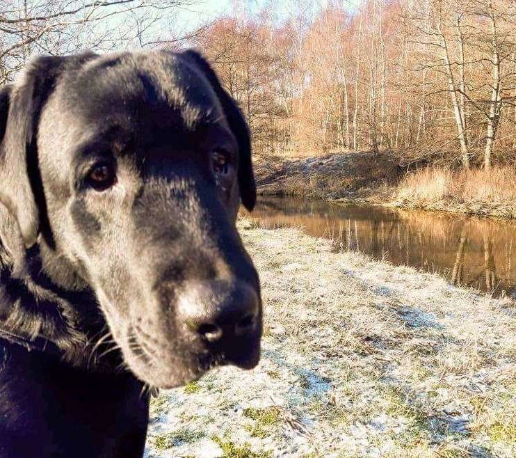 Äntligen dags för Premiär