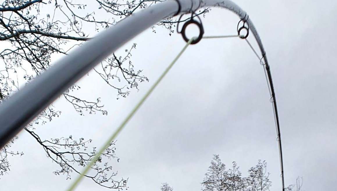 Tisdagsfiske