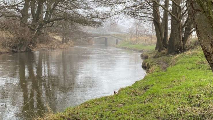 Årets första fiske