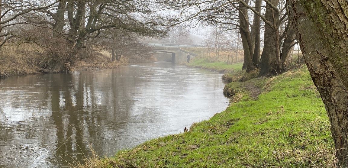 Årets första fiske