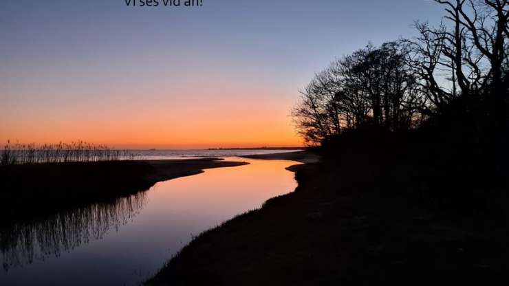 Gott nytt år!