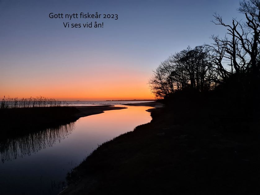 Gott nytt år!
